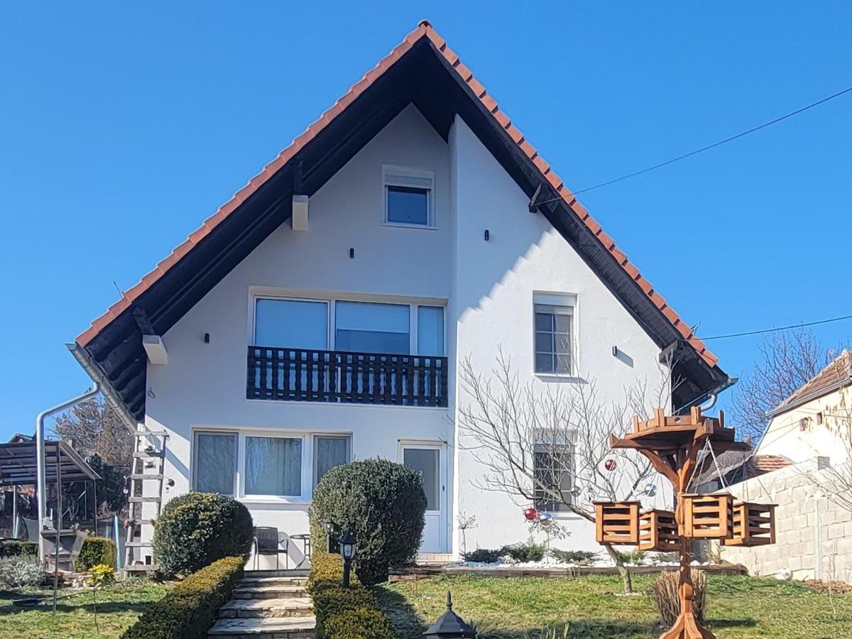 Vila Jovana Vrdnik Zewnętrze zdjęcie