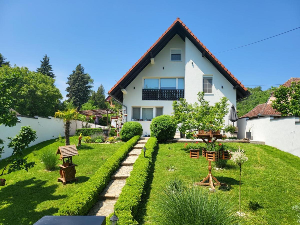 Vila Jovana Vrdnik Zewnętrze zdjęcie