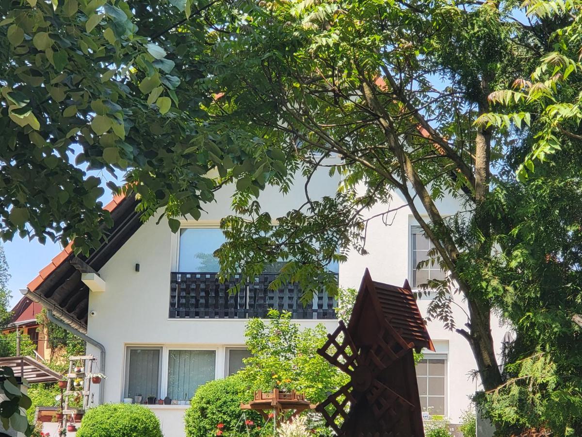Vila Jovana Vrdnik Zewnętrze zdjęcie