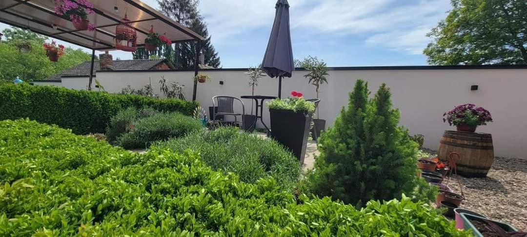 Vila Jovana Vrdnik Zewnętrze zdjęcie