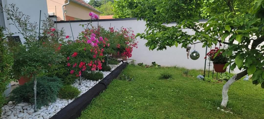 Vila Jovana Vrdnik Zewnętrze zdjęcie